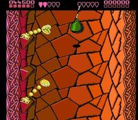 une photo d'Ã©cran de Battletoads sur Nintendo Nes